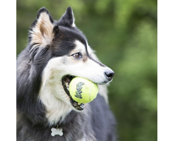 Piłka piszcząca na sznurze dla psa - KONG SqueakAir Ball