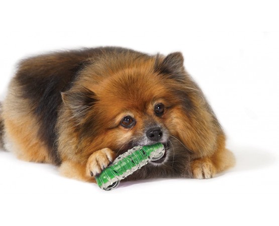 Kość z odgłosem zgniatanej butelki PET dla psa