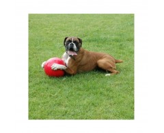 Boomer Ball - uciekająca super wytrzymała piłka dla psa - rozmiar L 20 cm czerwona