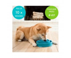 Miska dla psa do powolnego i zdrowego jedzenia z antypoślizgową podstawą 27 cm L - Outward Hound Fun Feeder