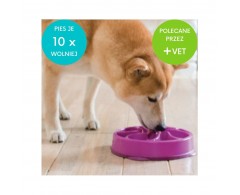 Miska dla psa do powolnego i zdrowego jedzenia z antypoślizgową podstawą 22 cm M - Outward Hound Fun Feeder