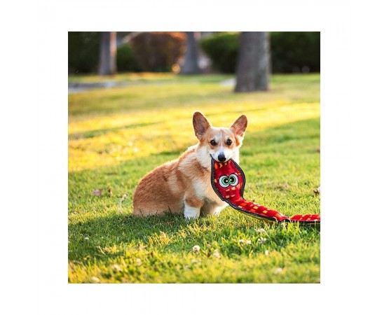 Zabawka dla psa wąż z 3 piszczałkami 53 cm czerwono-żółty - Outward Hound