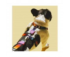 Szelki dla psa rozmiar M tęczowe - Zee Dog H-Harness Prisma