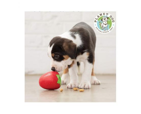 Piłka zabawka dla psa na smaczki truskawka 7,5 cm Planet Dog