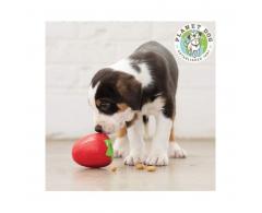 Piłka zabawka dla psa na smaczki truskawka 7,5 cm Planet Dog