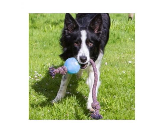 Piłka dla psa na sznurze niebieska L 7,5 cm - Beco Pets