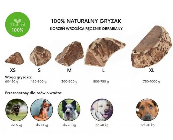 Korzeń wrzośca naturalny BIO gryzak S przeznaczony dla psów o wadze do 10 kg Ferribiella Erica Root
