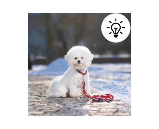 Smycz odblaskowa dla psa przepinana 6in1 M 100-200 cm x 2cm czerwona - Amiplay Eco Cotton Shine