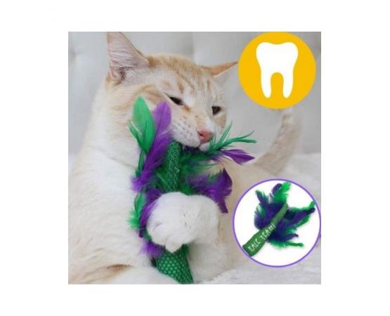 Zabawka dla kota z piórkami i kocimiętką 15 cm - dla higieny kocich zębów  - Petstages Dental Krazy Kale