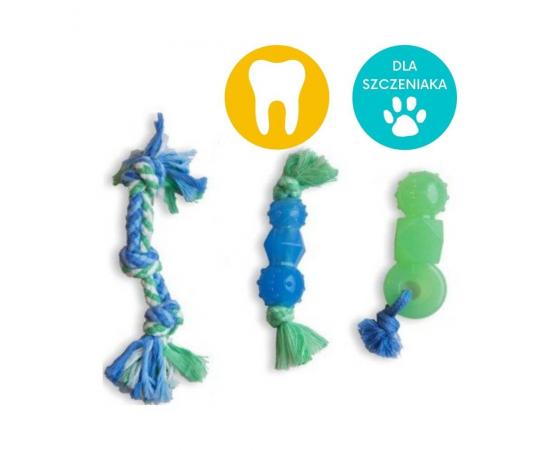 Gryzaki dentystyczne dla szczeniaka zestaw 3 szt. - Petstages Mini Dental
