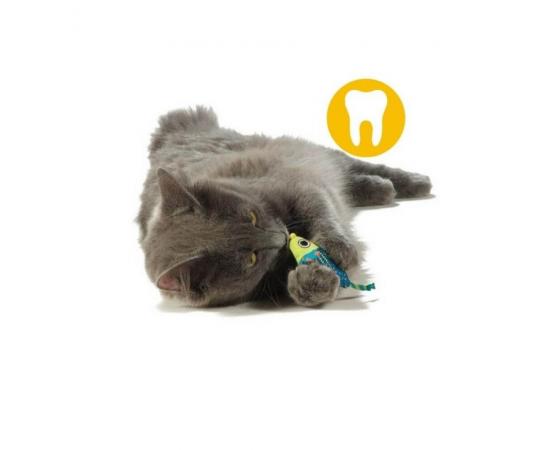 Zabawka dla kota 2 myszki z kocimiętką do higieny kocich zębów - Petstages Dental