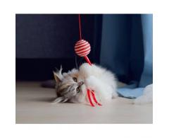 Piłeczka dla kota na lince z tasiemkami - Fun Ball