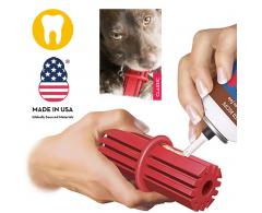 Dentystyczna zabawka dla psa rozmiar S KONG DENTAL STICK