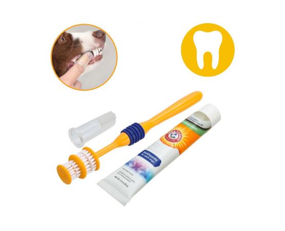 Zestaw do czyszczenia zębów dla psa Arm & Hammer
