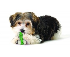 Kość z odgłosem zgniatanej butelki PET dla psa